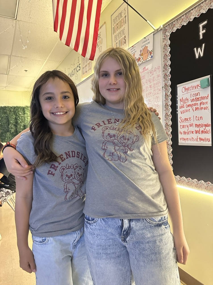 friendship twins