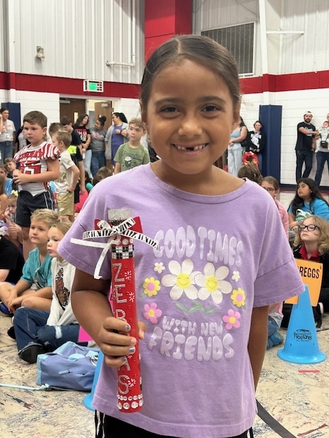 Spirit Stick for Cheer