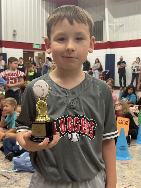 Baseball Award!