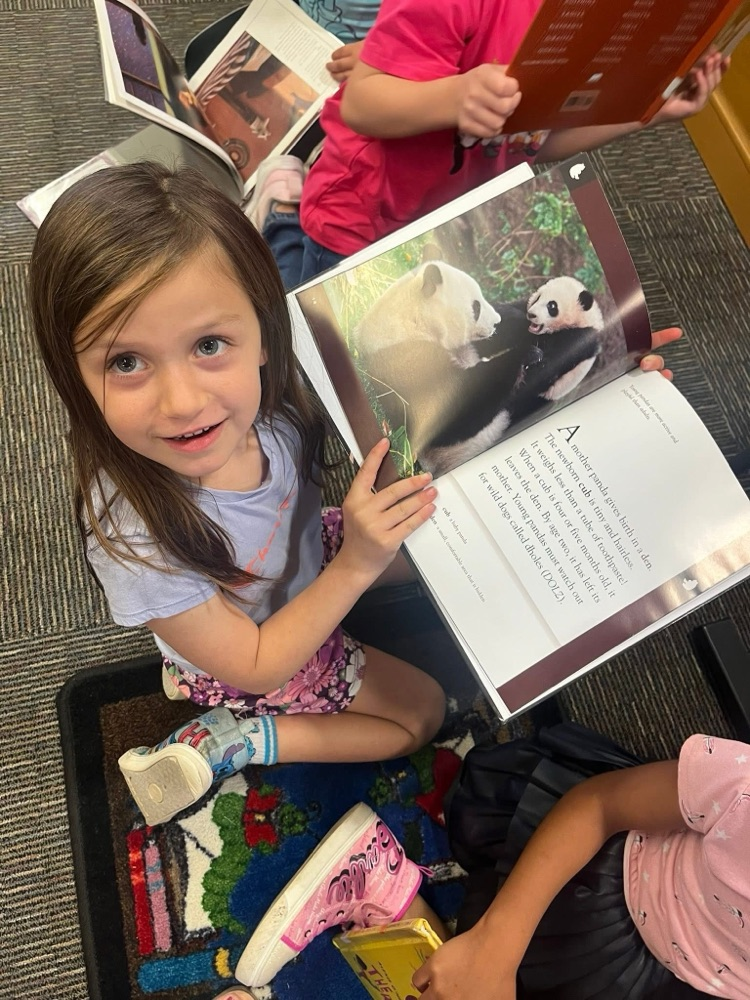 library books