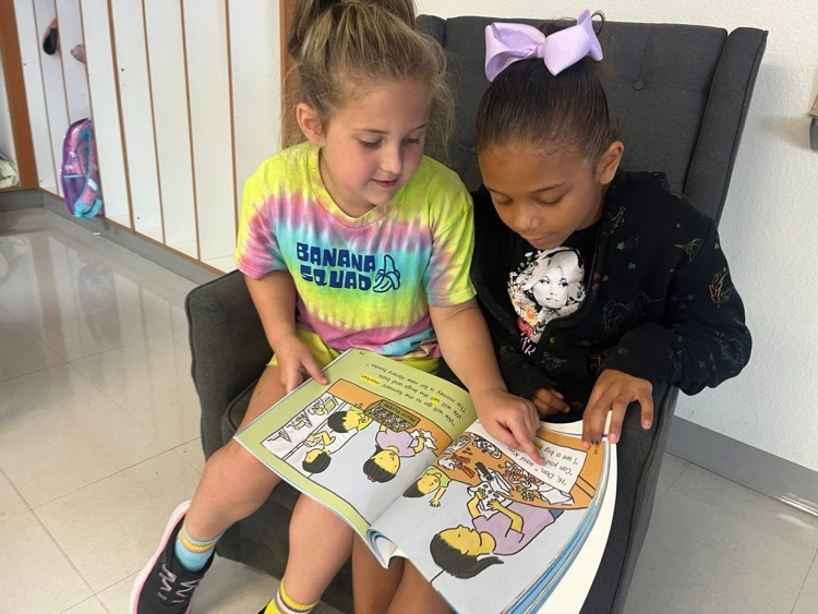 library books