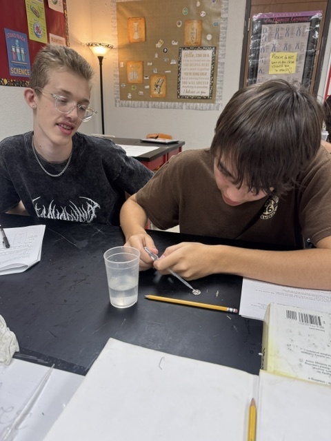 Our Biology students explored one of water’s most fascinating properties—cohesion—by testing how many drops could balance on the head of a coin. They compared plain water to soapy water, discovering firsthand how molecules stick together. 🌍  Not only did this investigation show why cohesion is so important to life on Earth, but it also required teamwork, precision, and careful observation