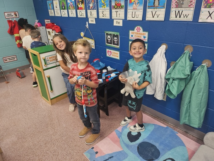 students learning about vets 