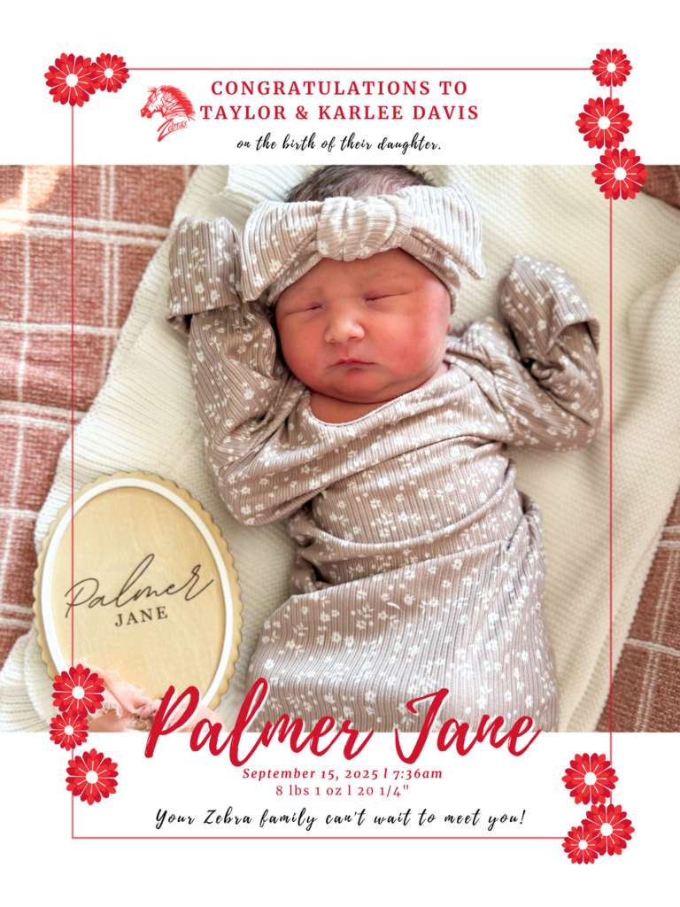 baby swaddled in bassinet 