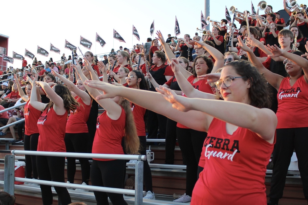 Cheering in the stands