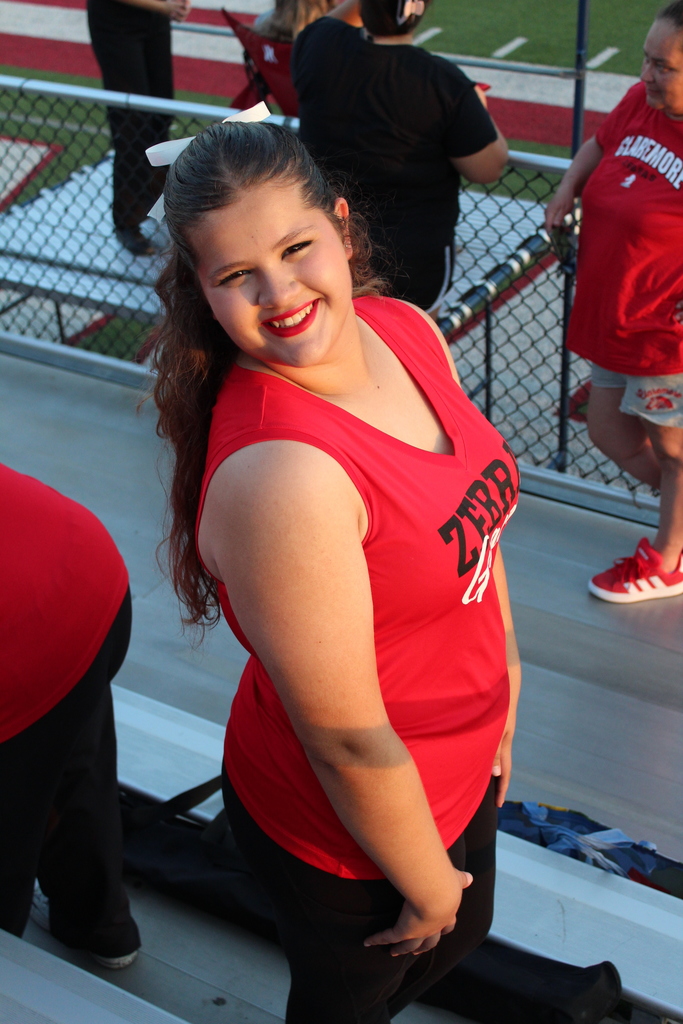 Zebra Guard at the game