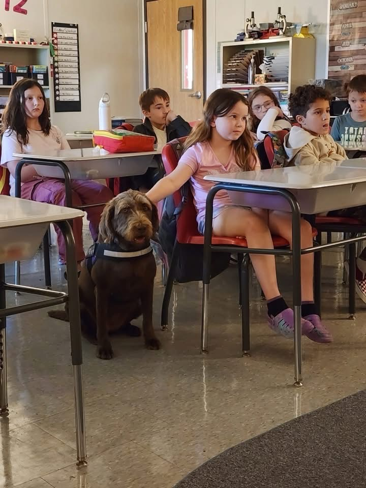 student sitting in desk petting dog