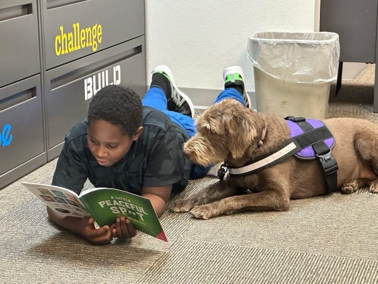 student laying on ground reading next to a dog