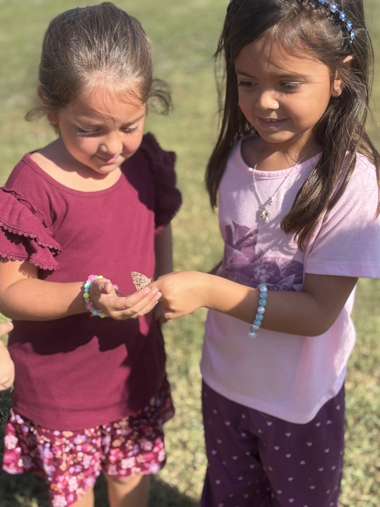 students holding butterflies