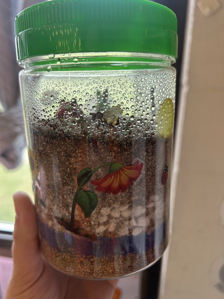 photo of terrarium