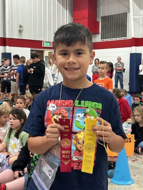 Rogers County Fair Ribbons