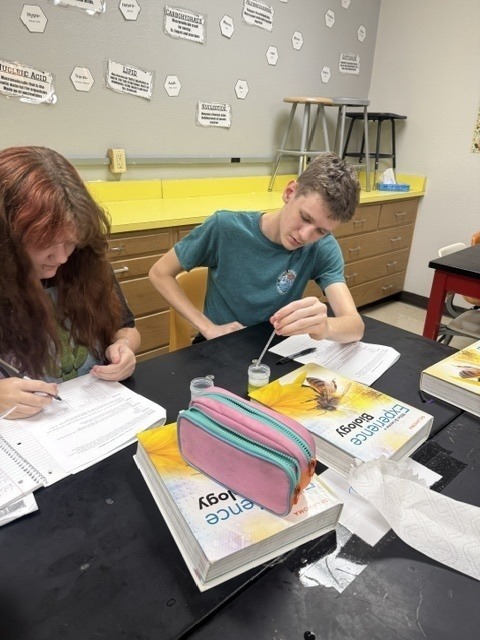 students doing a science project