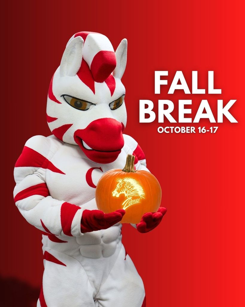 zebra mascot with pumpkin