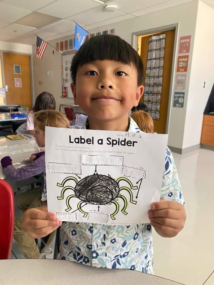 students with their spider crafts