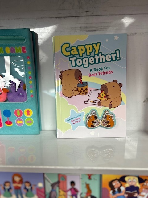 Last Day of Book Fair