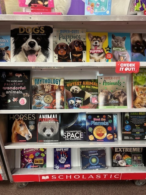 Last Day of Book Fair