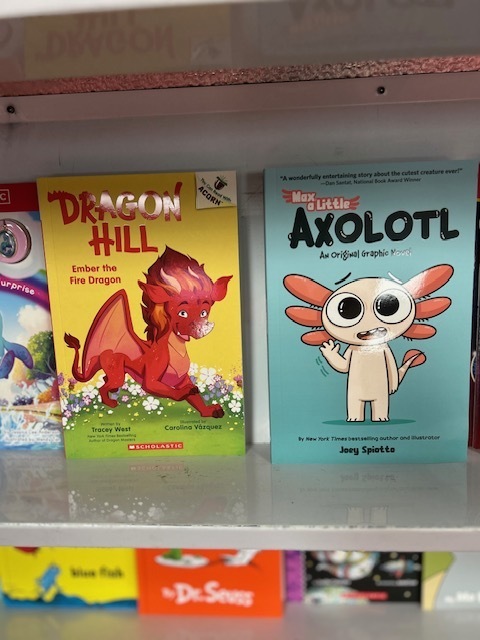 Last Day of Book Fair