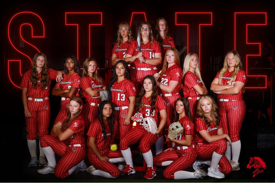 state softball graphic
