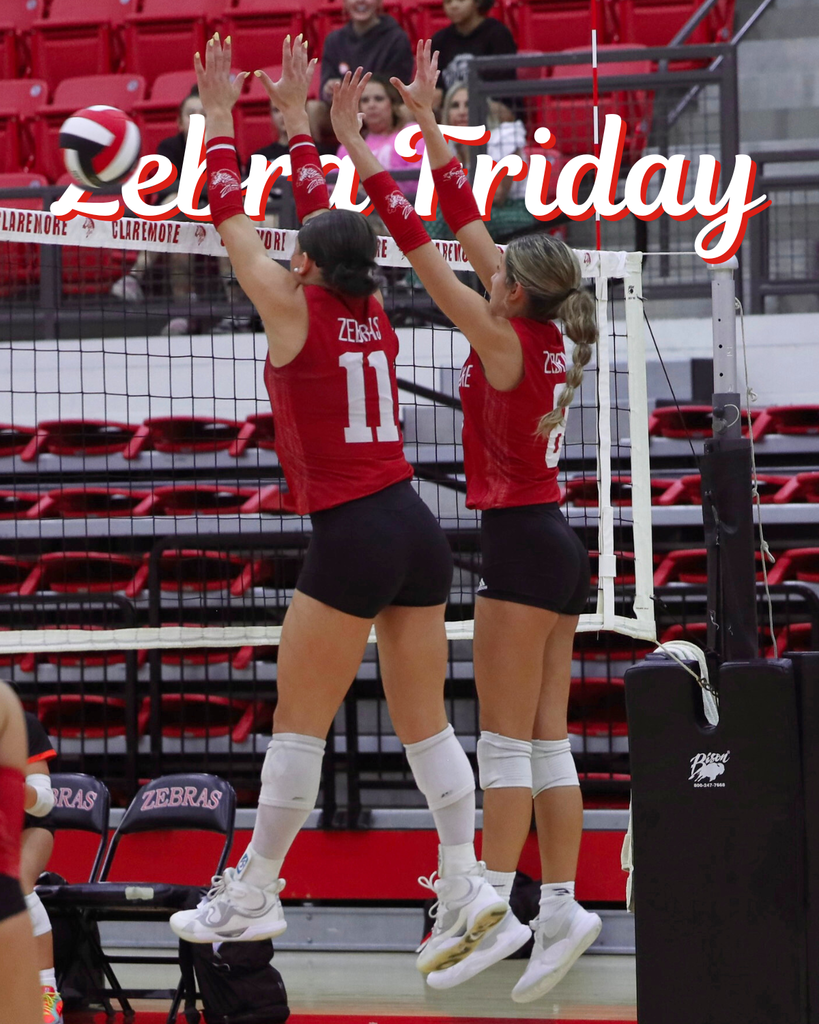 volleyball action shots