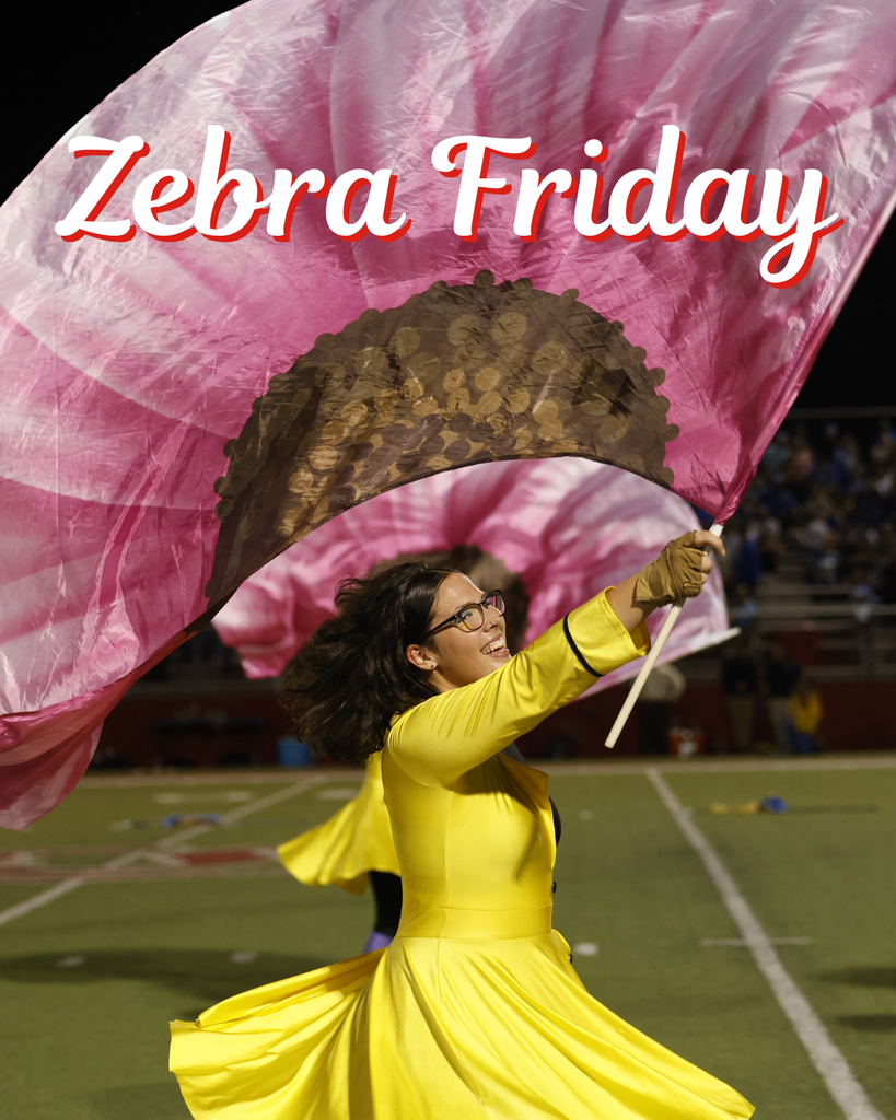 color guard with flag