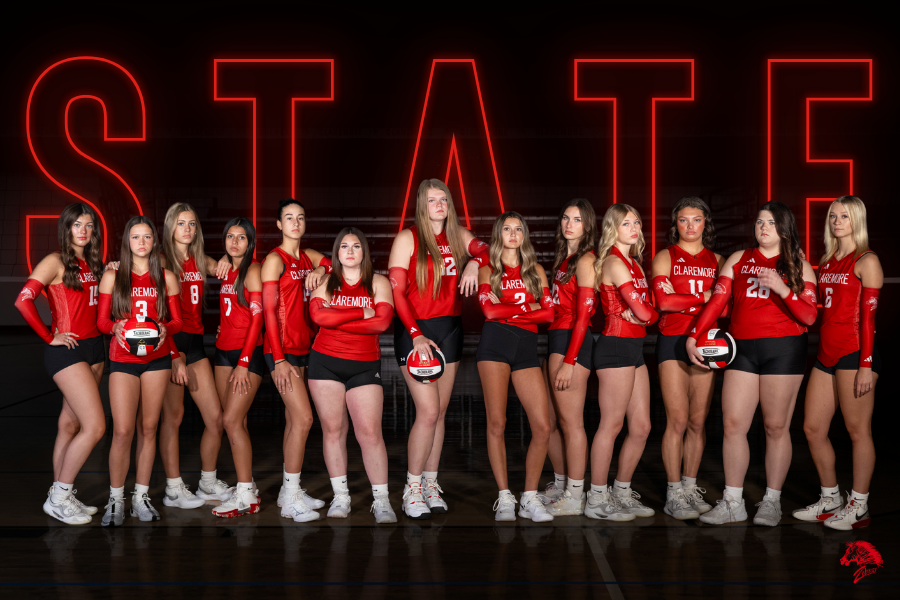 volleyball state graphic