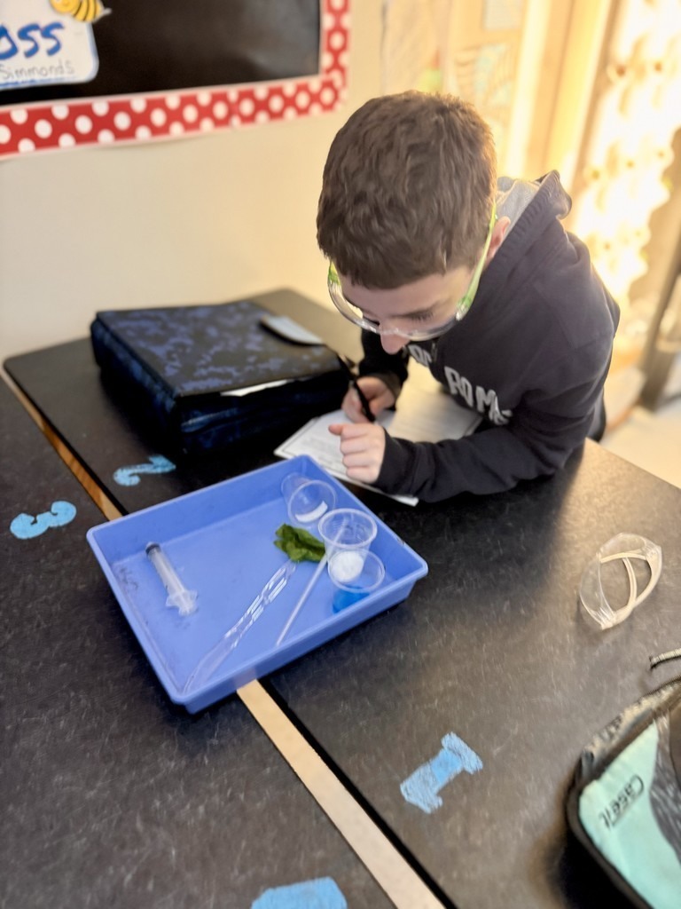 junior high students doing science