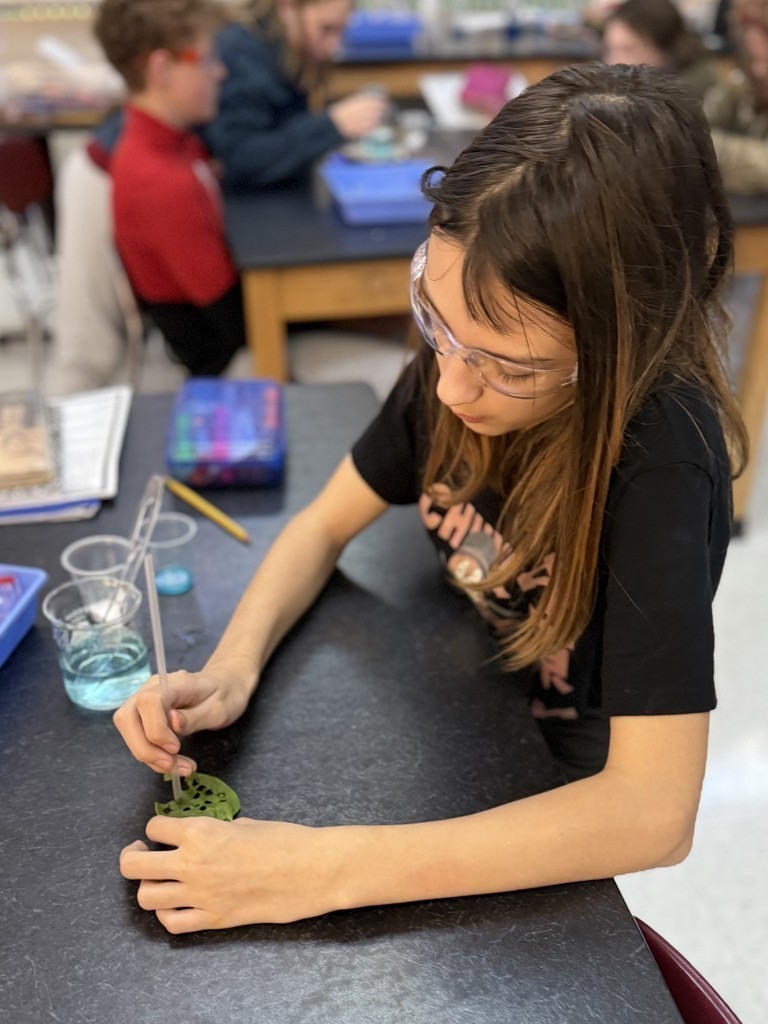 junior high students doing science