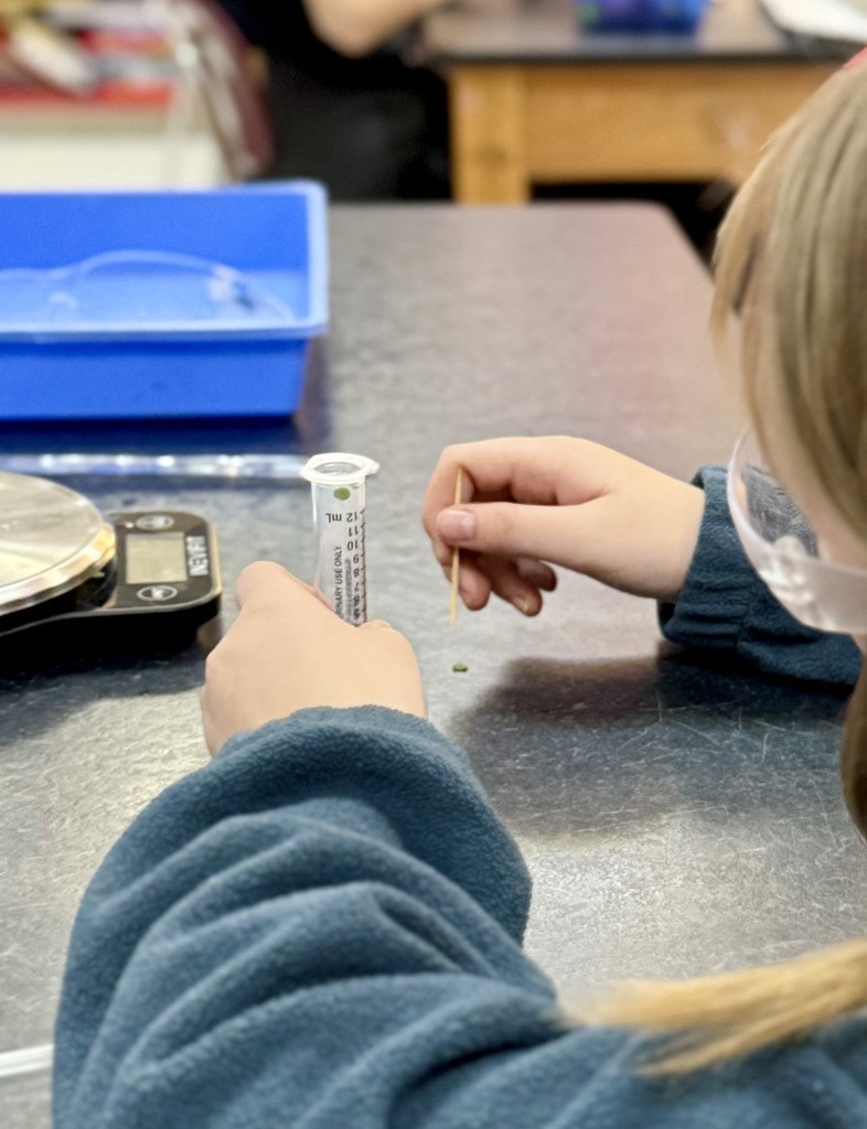 junior high students doing science