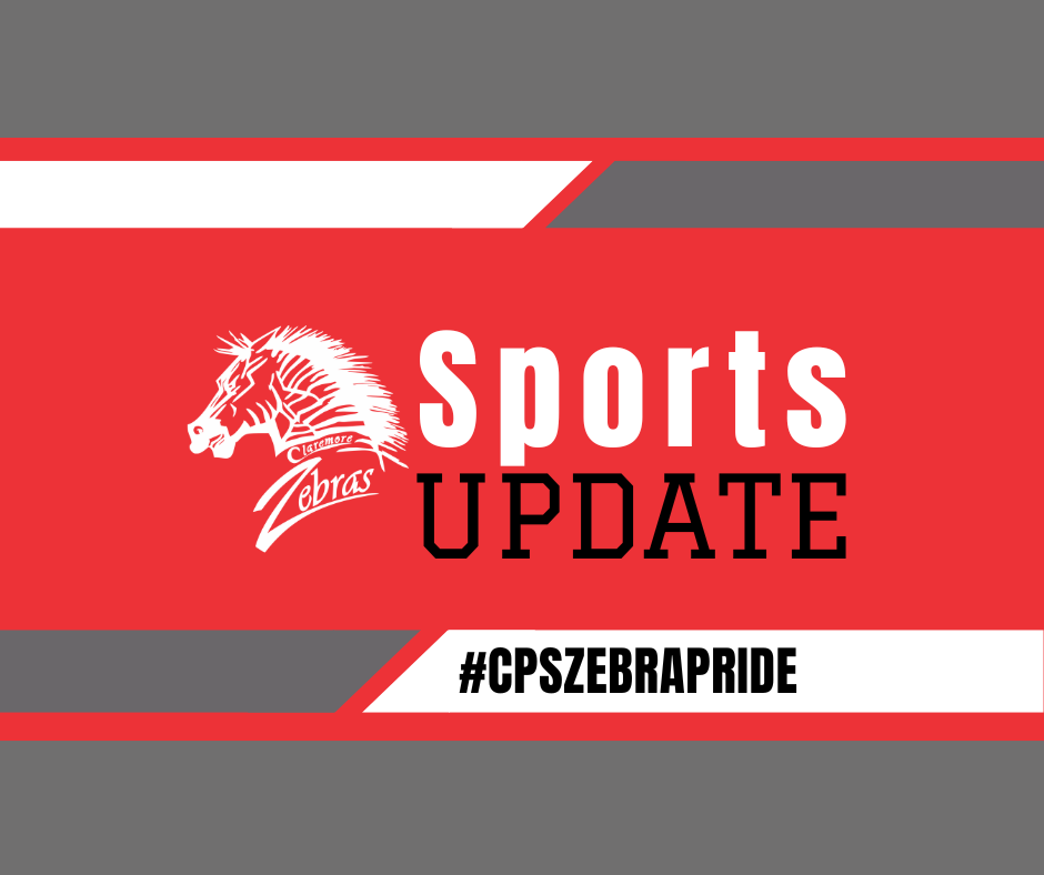 Zebra logo "sports update"