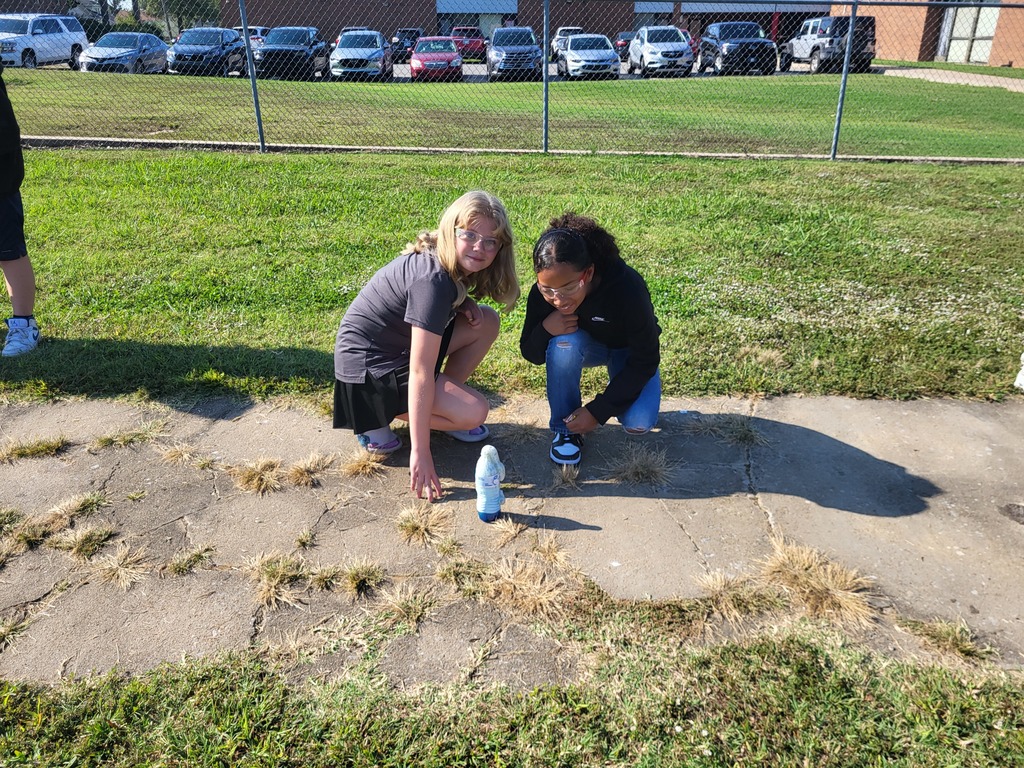 Students smiling with elephant toothpaste