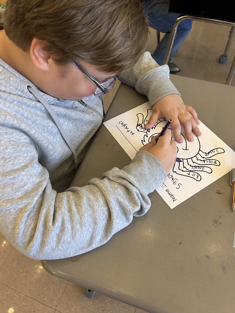 student coloring, spider