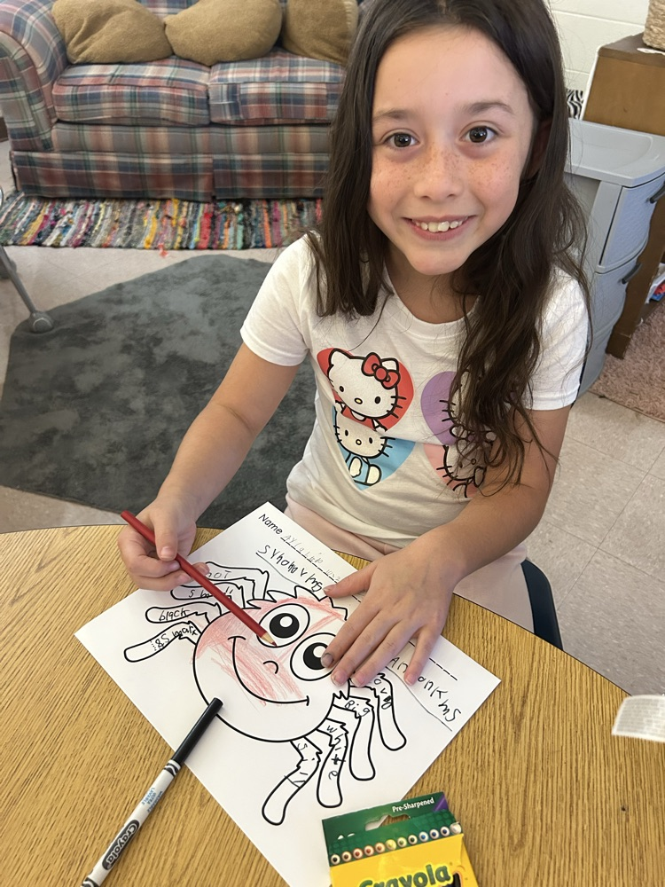 student coloring, spider