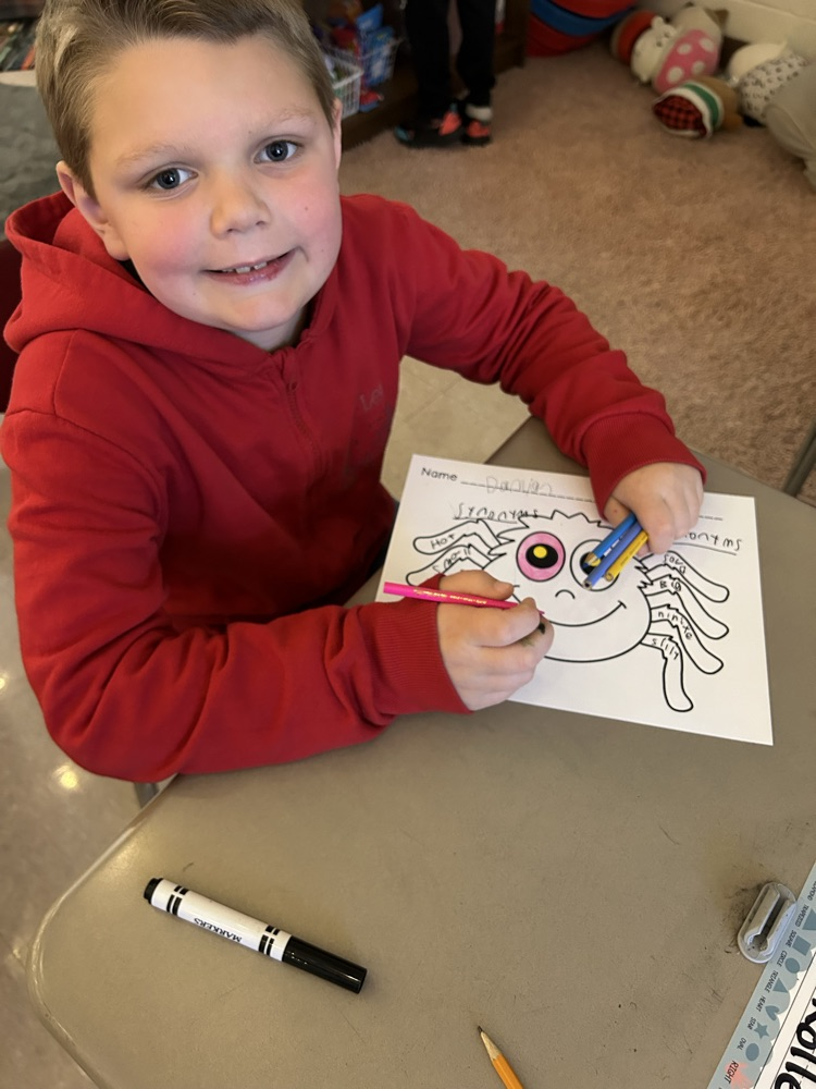student coloring, spider