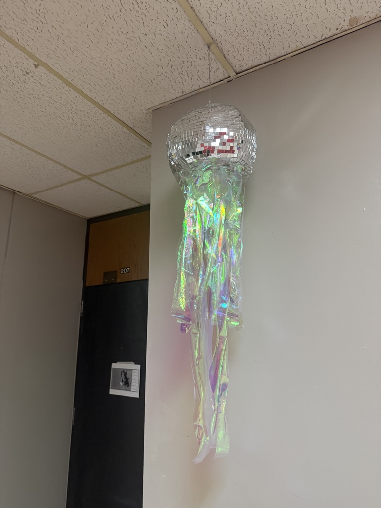 Our art classes are adding a little extra sparkle to the hallways! From glittering disco sharks to other dazzling animal creations, students are combining creativity, craftsmanship, and shine to bring their artwork to life. These “disco animals” light up our school with color, reflection, and personality — proving that art can make any space brighter!