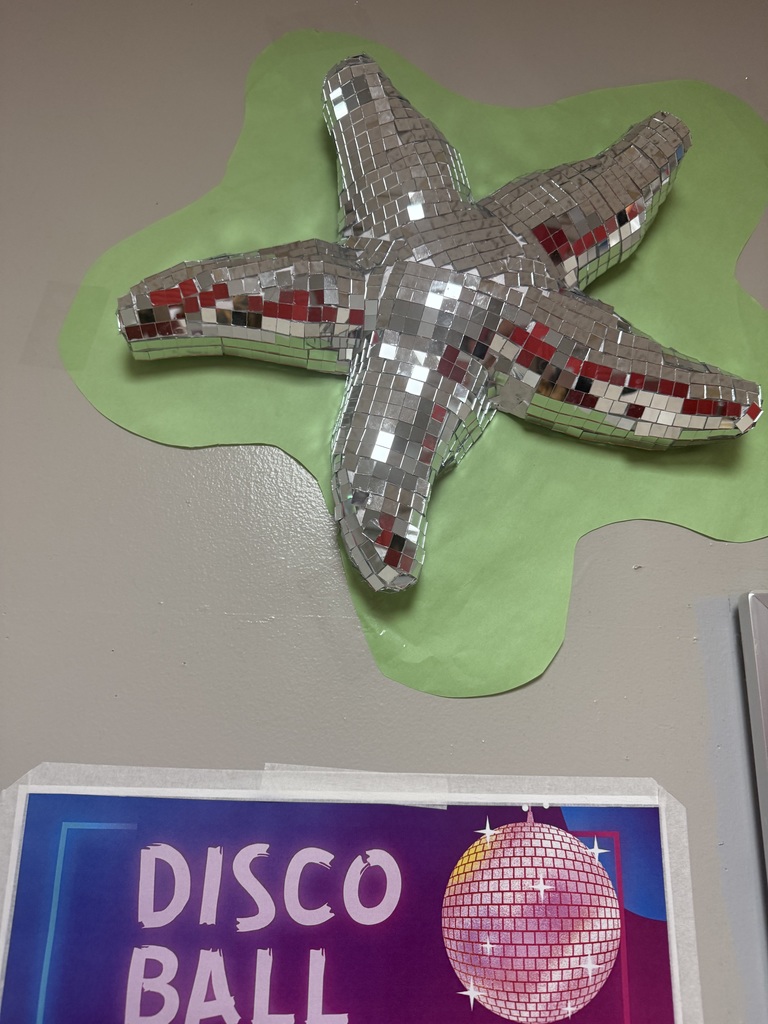 Our art classes are adding a little extra sparkle to the hallways! From glittering disco sharks to other dazzling animal creations, students are combining creativity, craftsmanship, and shine to bring their artwork to life. These “disco animals” light up our school with color, reflection, and personality — proving that art can make any space brighter!
