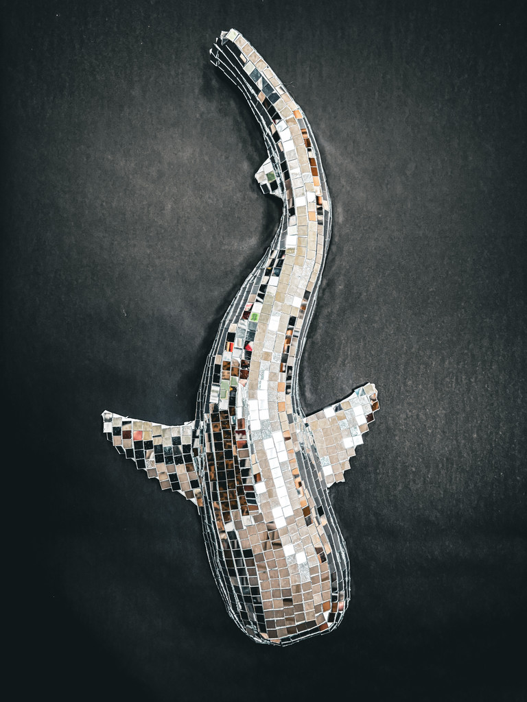 Our art classes are adding a little extra sparkle to the hallways! From glittering disco sharks to other dazzling animal creations, students are combining creativity, craftsmanship, and shine to bring their artwork to life. These “disco animals” light up our school with color, reflection, and personality — proving that art can make any space brighter!