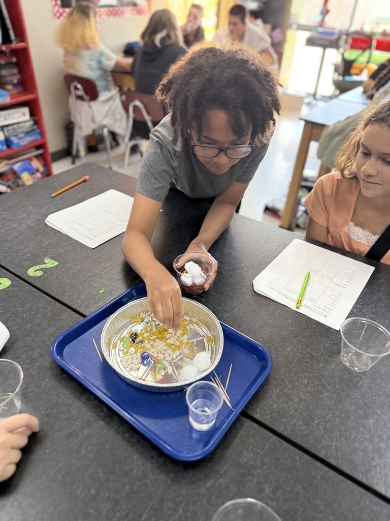 students using tools to mimic bird beaks