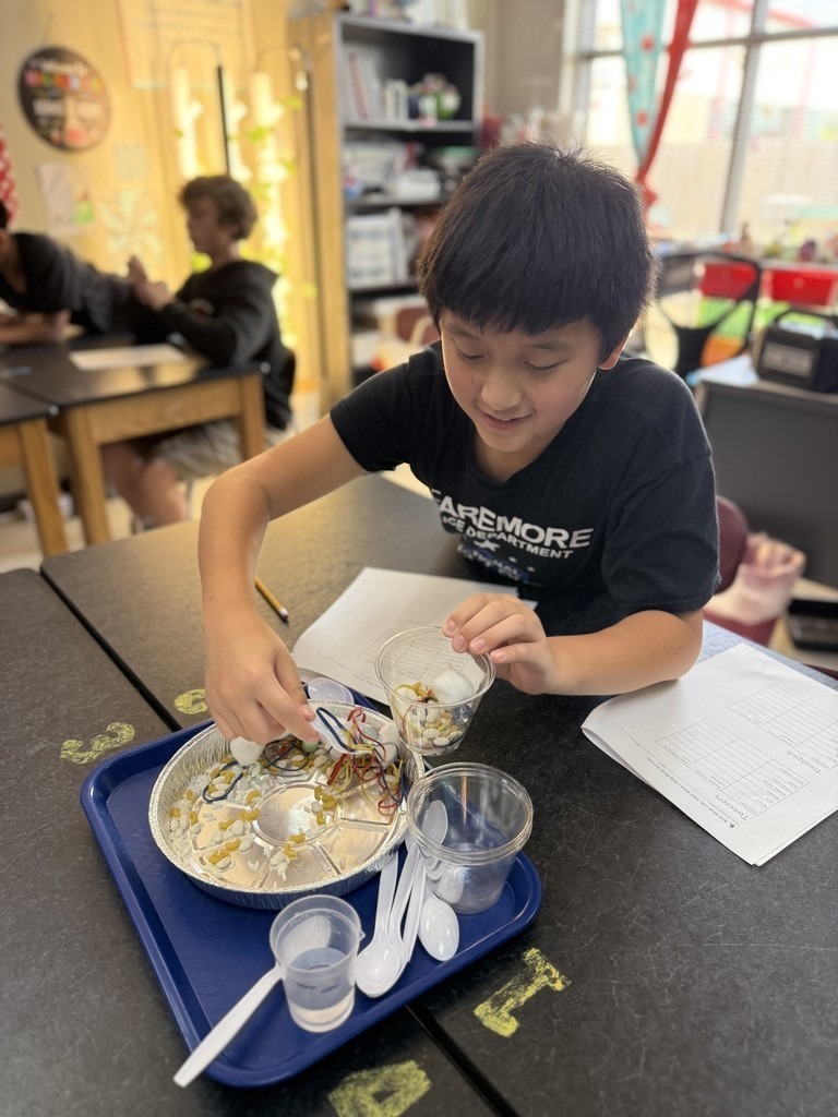 students using tools to mimic bird beaks