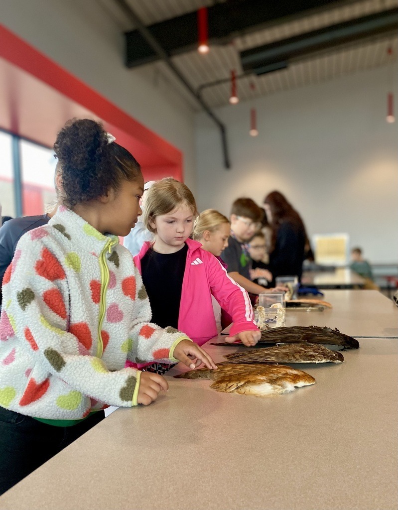 Roosa second graders interreacting with animal fossils