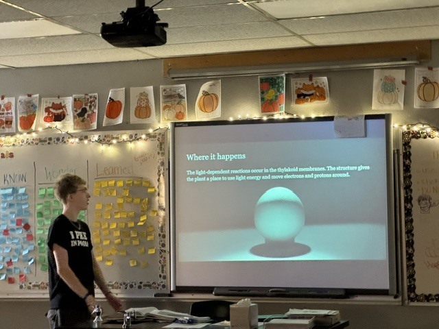 In Mrs. Lutz’s biology class, students have been working on a project that turns the traditional classroom upside down. Each group was randomly assigned a stage of photosynthesis, tasked with learning all about their assigned step, and then creating a lesson to teach the rest of the class.  Students quickly learned that teaching isn’t as easy as it looks—but they rose to the challenge and had fun in the process. This hands-on approach helped students take ownership of their learning and see just how much they’re capable of when they become the teachers!