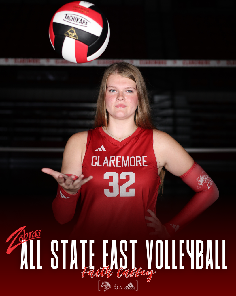 all state volleyball