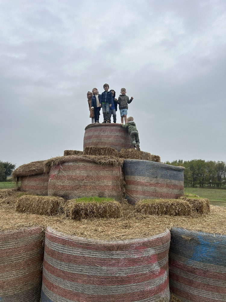 students on hay bales 