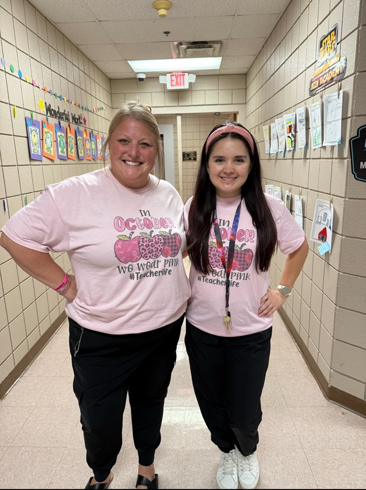 nicks and Palmer twin