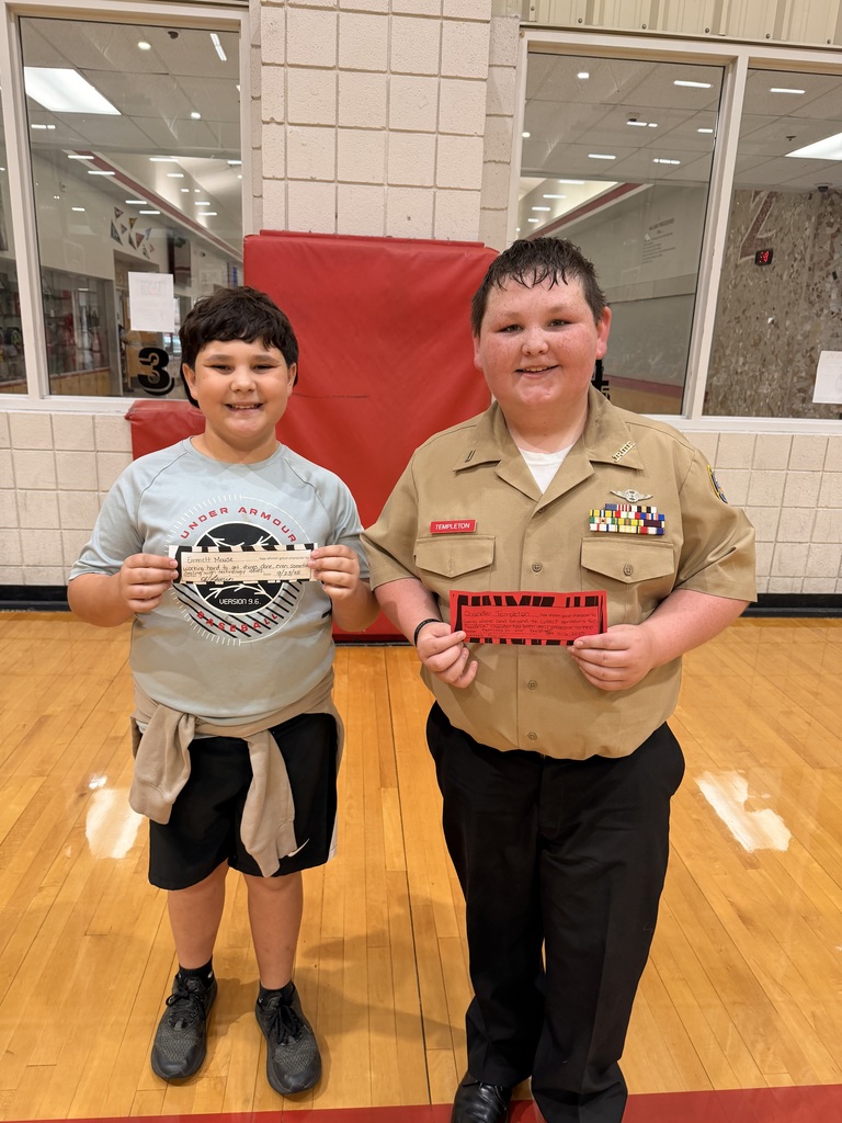 ZEBRAS CAUGHT DOING GOOD THINGS