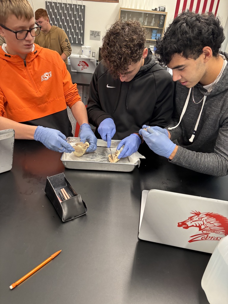 Students in the Biomedical program explored the structure and function of the heart by identifying chambers, valves, and major arteries and veins, and tracing the full path of blood flow through the heart.  They also completed a heart dissection, giving them an up-close look at everything they’ve been studying. Incredible work, future health professionals!