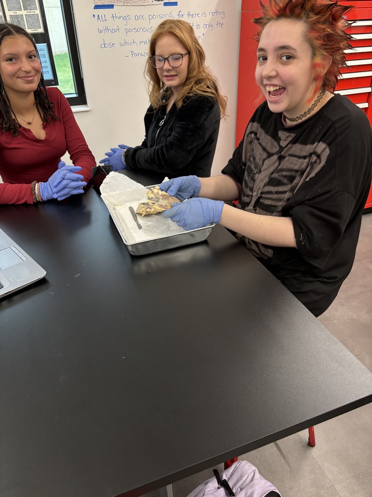 Students in the Biomedical program explored the structure and function of the heart by identifying chambers, valves, and major arteries and veins, and tracing the full path of blood flow through the heart.  They also completed a heart dissection, giving them an up-close look at everything they’ve been studying. Incredible work, future health professionals!