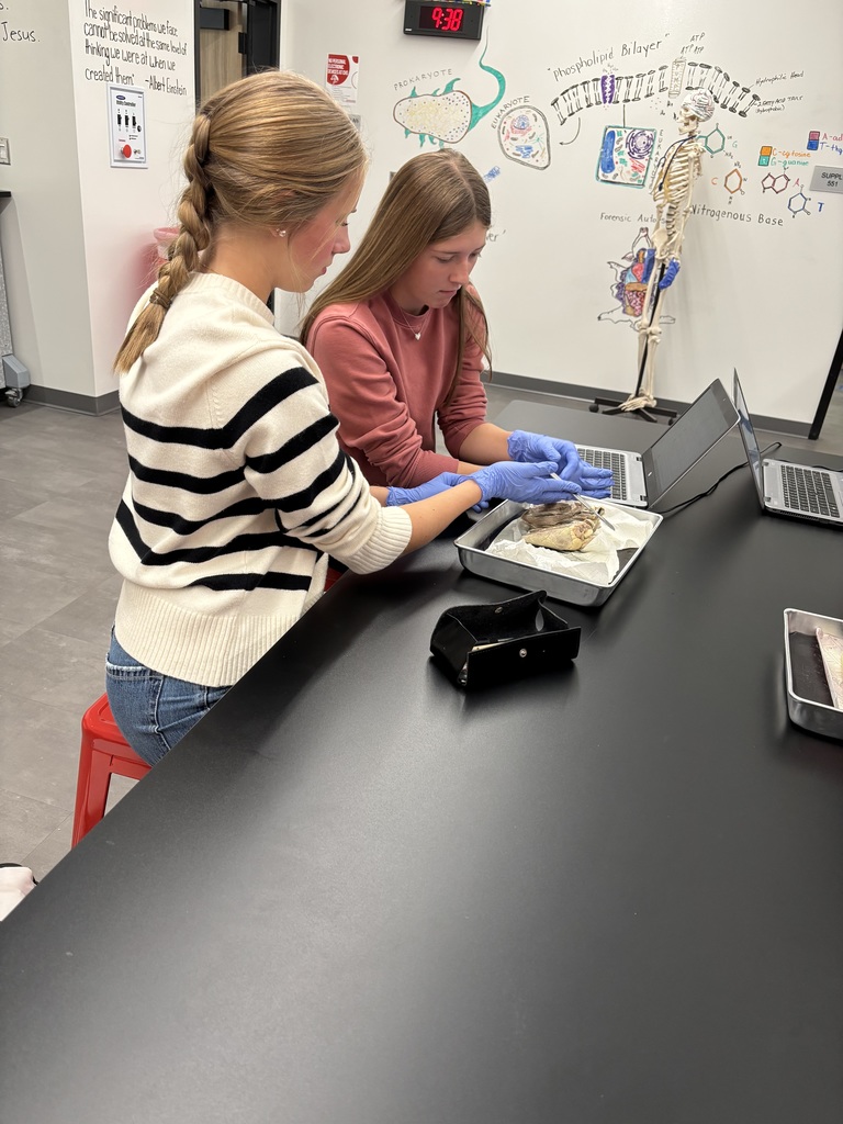 Students in the Biomedical program explored the structure and function of the heart by identifying chambers, valves, and major arteries and veins, and tracing the full path of blood flow through the heart.  They also completed a heart dissection, giving them an up-close look at everything they’ve been studying. Incredible work, future health professionals!