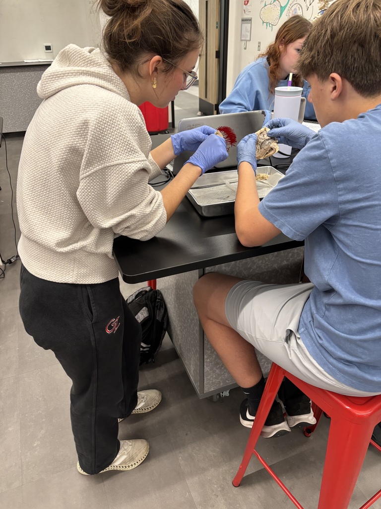 Students in the Biomedical program explored the structure and function of the heart by identifying chambers, valves, and major arteries and veins, and tracing the full path of blood flow through the heart.  They also completed a heart dissection, giving them an up-close look at everything they’ve been studying. Incredible work, future health professionals!