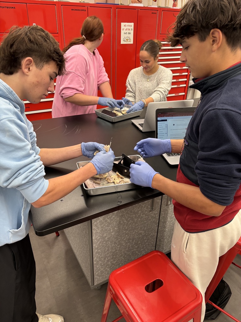 Students in the Biomedical program explored the structure and function of the heart by identifying chambers, valves, and major arteries and veins, and tracing the full path of blood flow through the heart.  They also completed a heart dissection, giving them an up-close look at everything they’ve been studying. Incredible work, future health professionals!