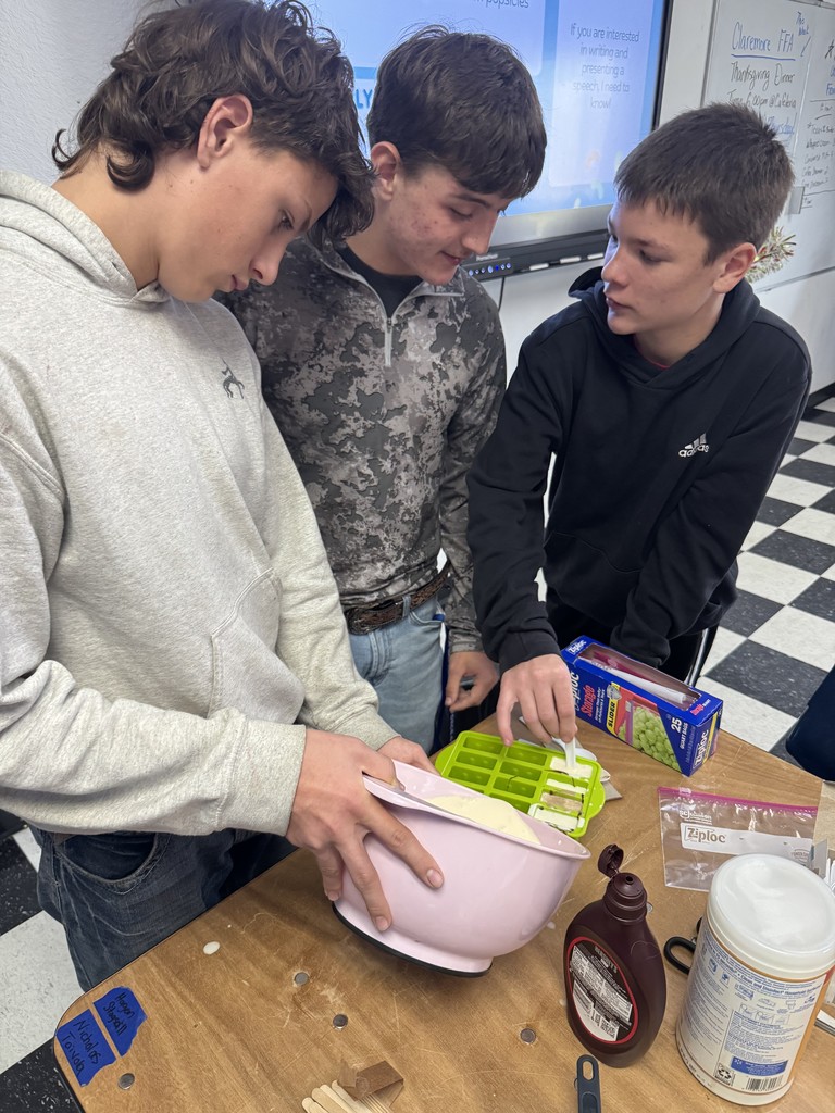 Introduction to Plant, Food, and Fiber wrapped up the dairy industry unit with a sweet hands-on activity! Students made their own ice cream popsicles and explored the science behind turning cream into homemade butter.  These students are learning where their food comes from and getting real experience with the processes behind everyday products. Here are a few pics—more coming soon when we start shaking up the butter!